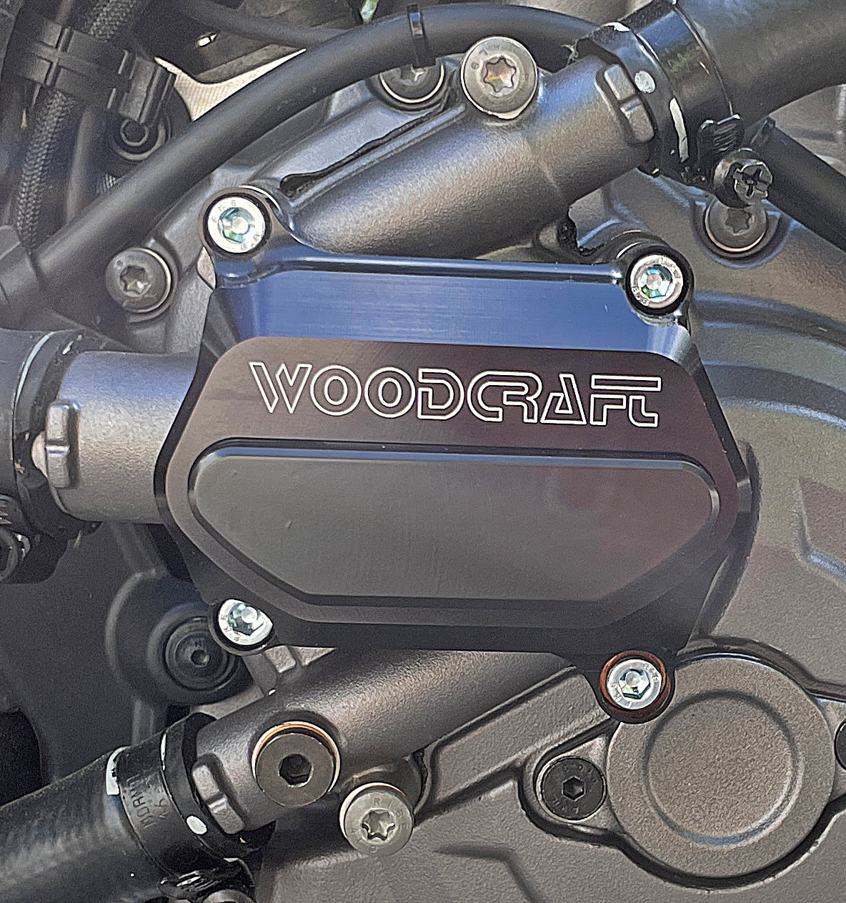 60-0637WPC Ducati Monster LHS Water Pump Cover Protector w/ Skid Plate
