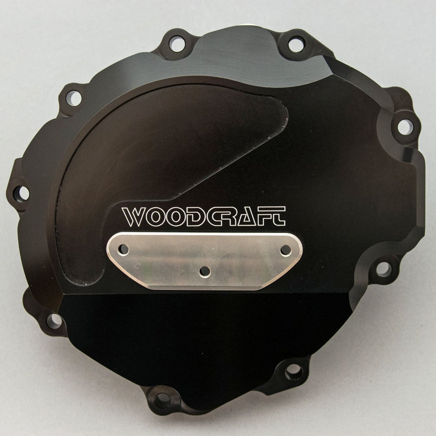 60-0339LB 2008-09 Honda CBR1000RR LHS Stator Cover w/ Skid Plate