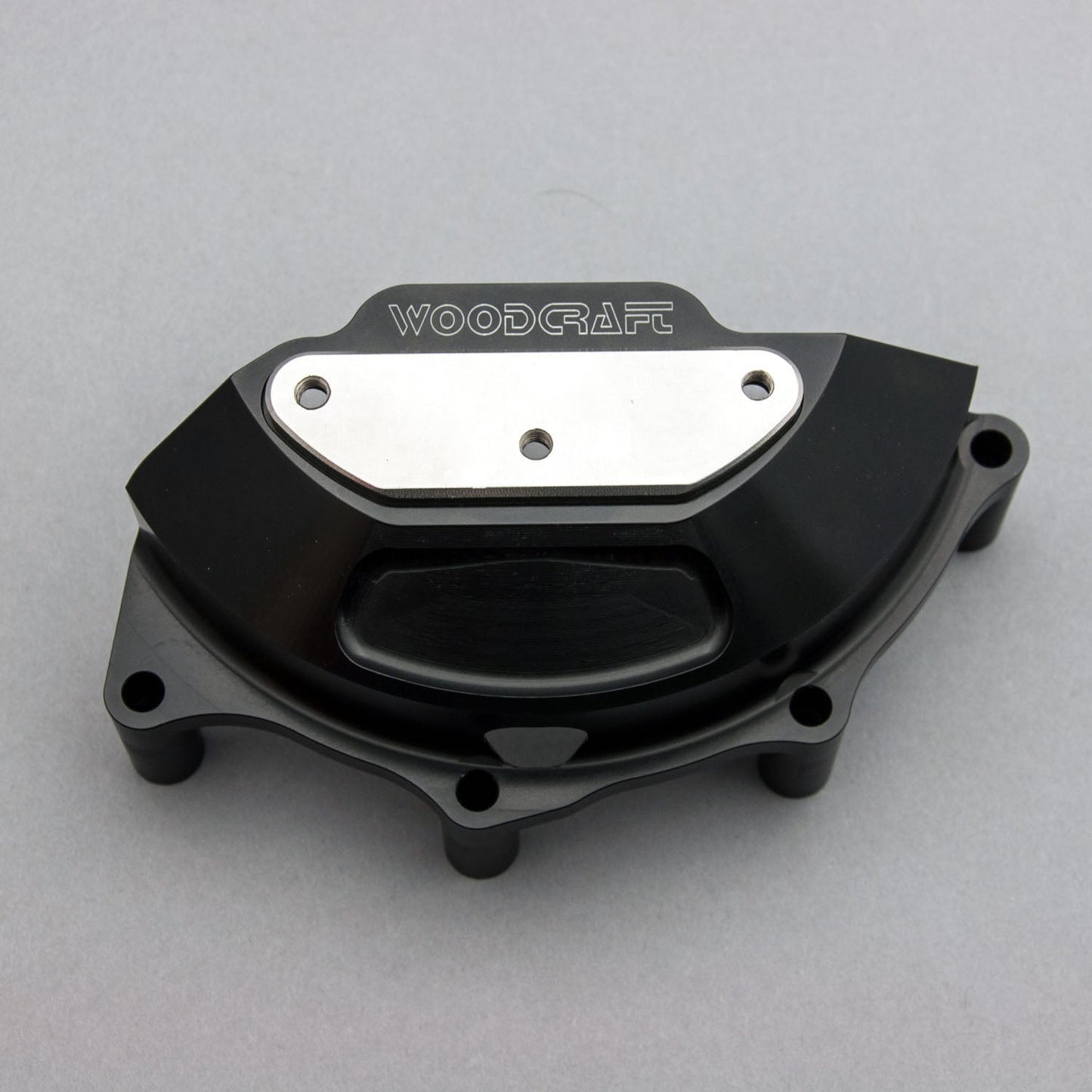 60-0656LC Ducati Panigale V4 LHS Stator Cover Protector w/ Skid Plate